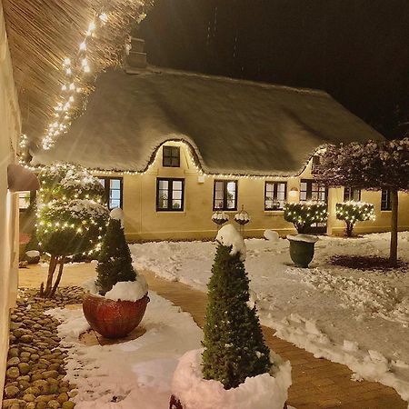 Mindedalen - Idyl Taet Pa Alt Og Helt I Fred Appartement Billum Buitenkant foto