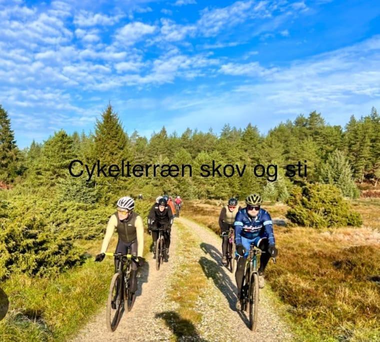 Mindedalen - Idyl Taet Pa Alt Og Helt I Fred Appartement Billum Buitenkant foto