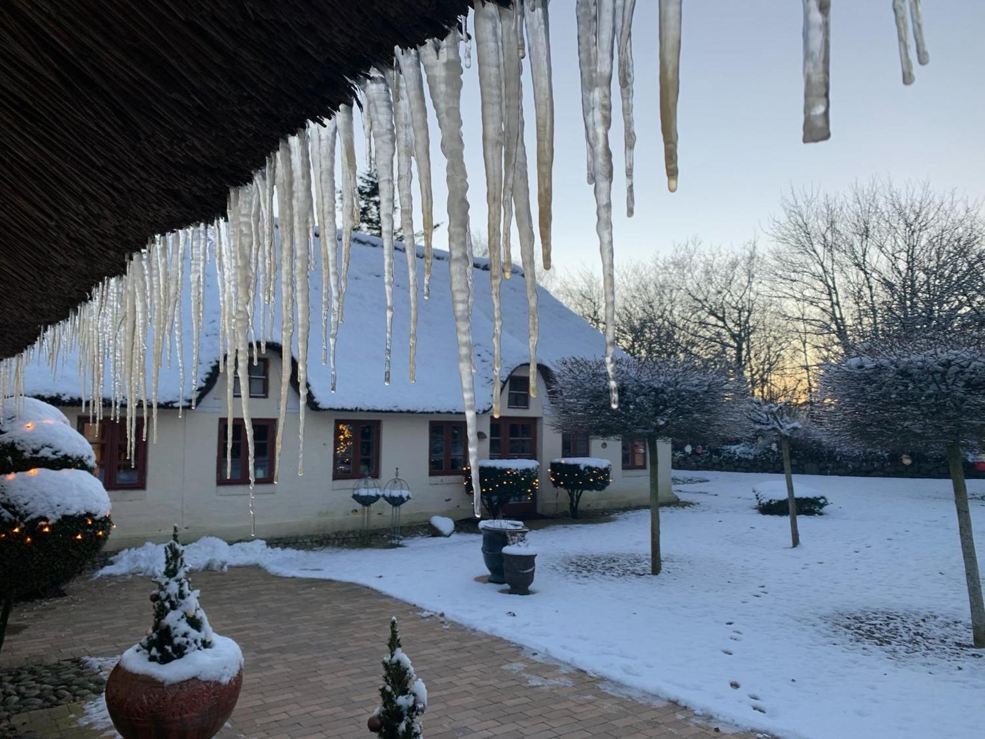 Mindedalen - Idyl Taet Pa Alt Og Helt I Fred Appartement Billum Buitenkant foto