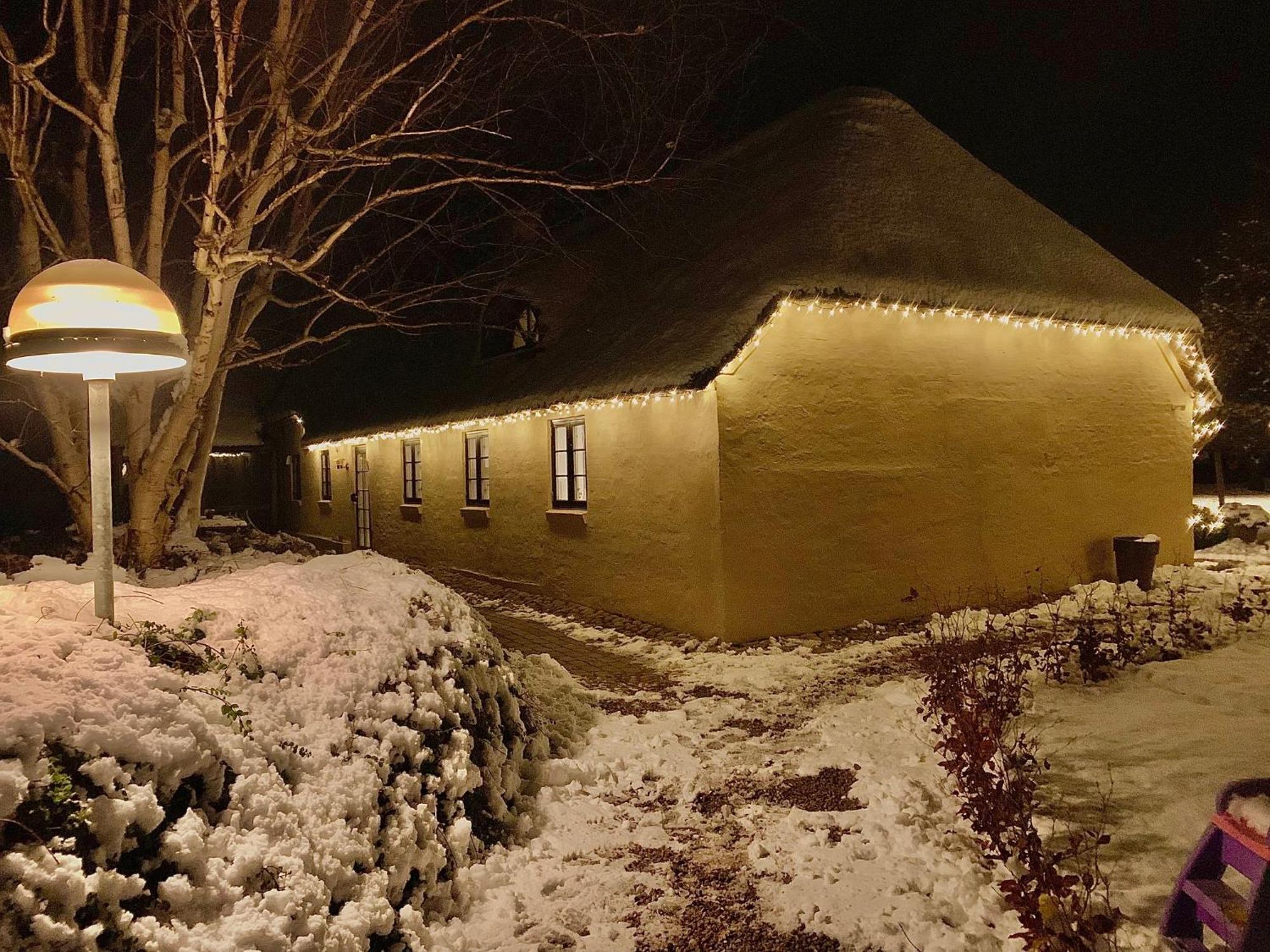 Mindedalen - Idyl Taet Pa Alt Og Helt I Fred Appartement Billum Buitenkant foto